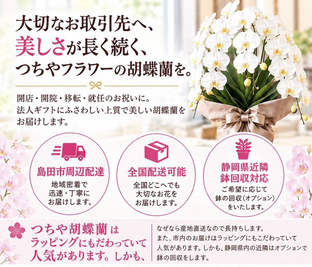 胡蝶蘭のチラシ