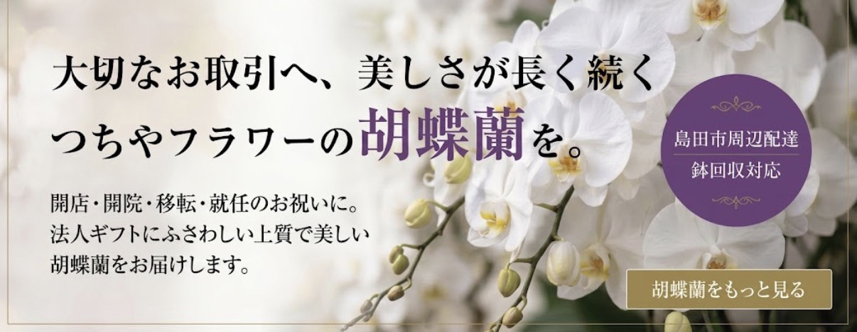 つちやフラワー胡蝶蘭バナー画像