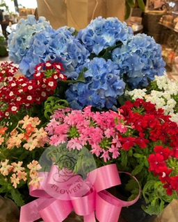 花鉢