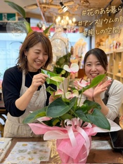 観葉植物
