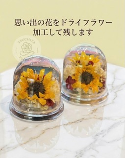ドライフラワー